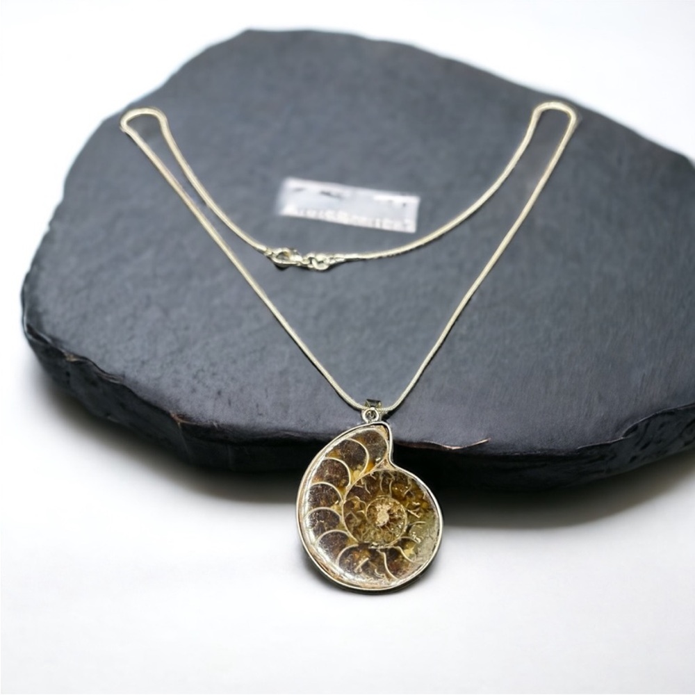Vintage Ammonite Fossil Necklace with 20” 925 Silver Chain